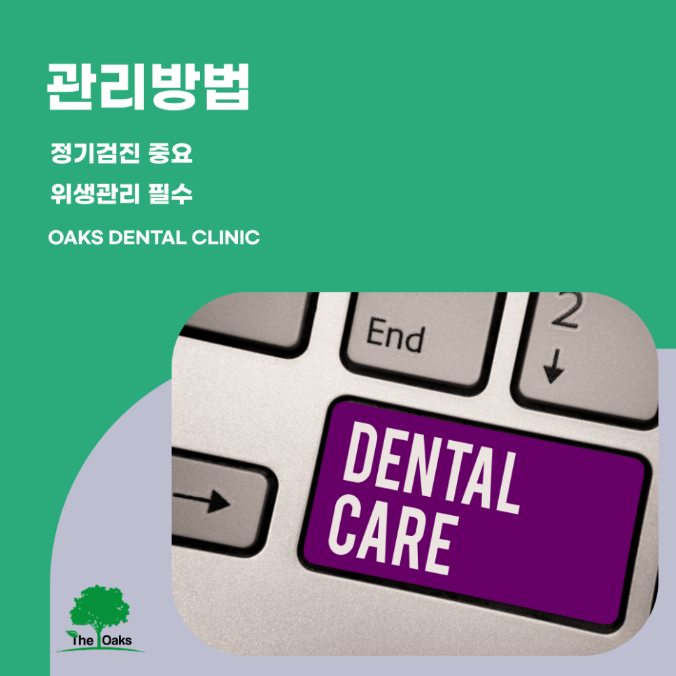Gangnam-gu Dental Clinic Zirconia Crown: The Standard in Natural and Durable Prosthetic Treatment image 5