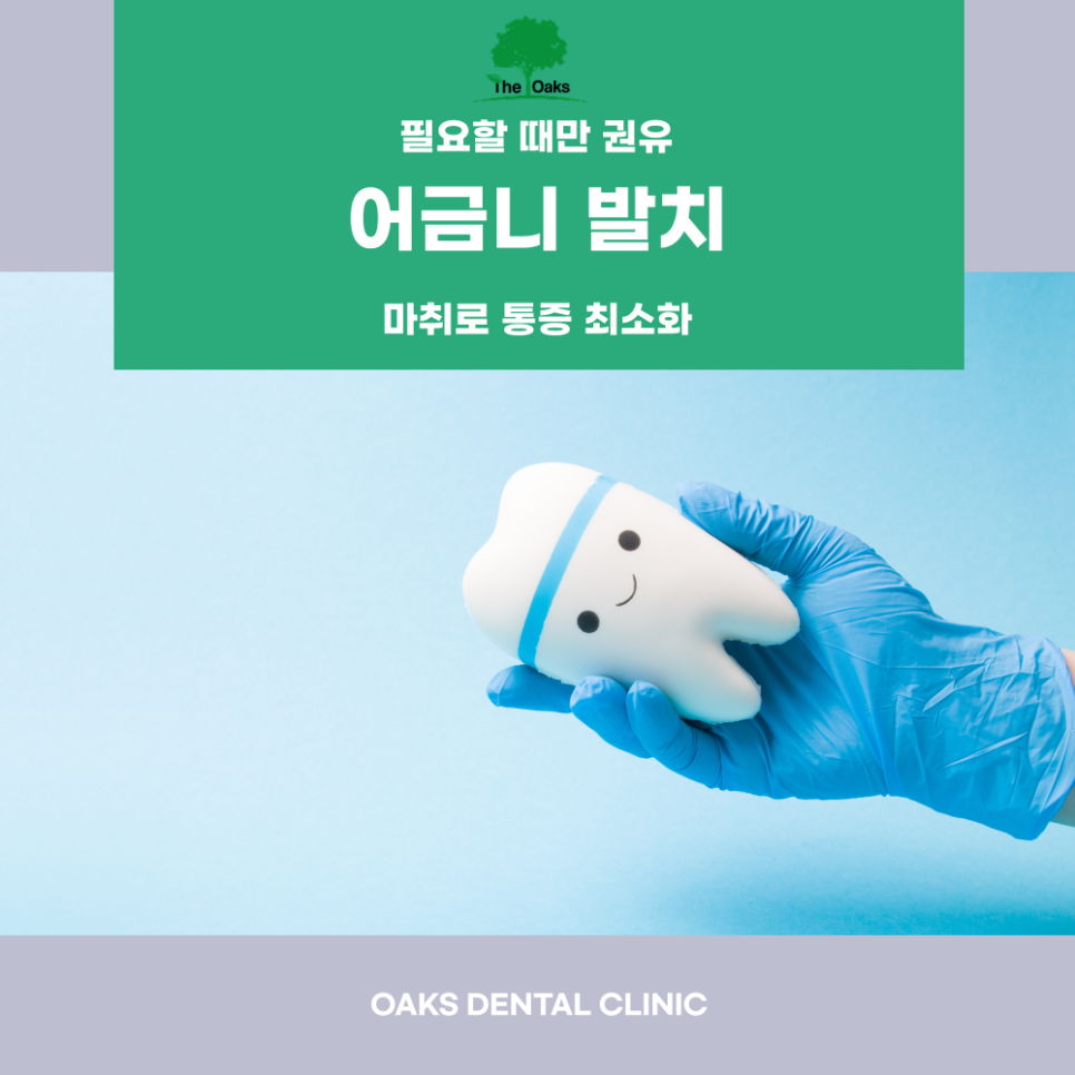 청담동치과 어금니발치 꼭 필요할 때만 선택하는 신중한 치료 이야기 관련 이미지 1