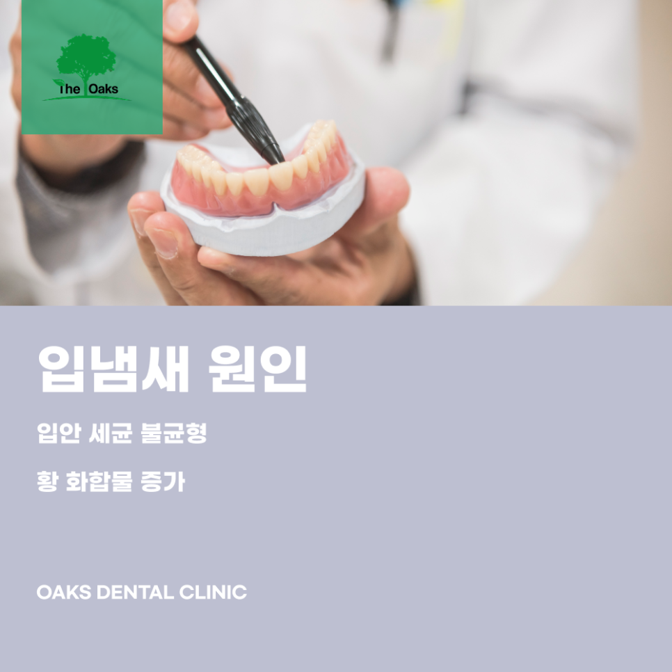 논현동치과 입냄새제거는 원인부터 정확히 잡아야 합니다 관련 이미지 1