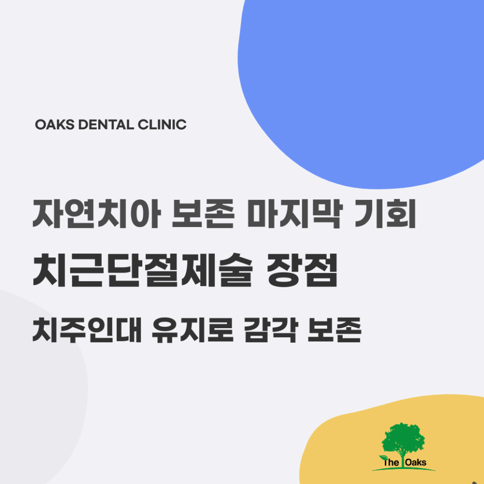 강남역치과 치근단절제술 자연치아를 지키는 마지막 수술 관련 이미지 3