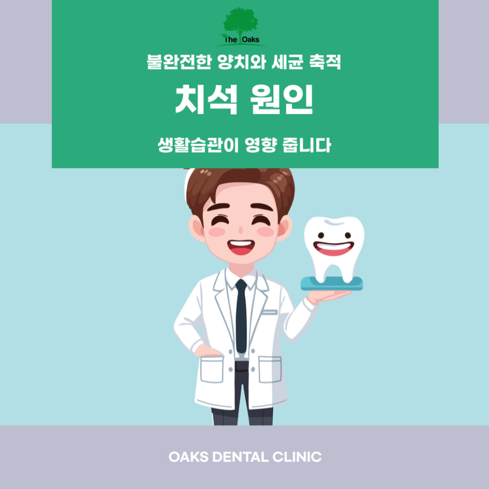 도곡동치과 치석제거 건강한 잇몸의 시작입니다 관련 이미지 2