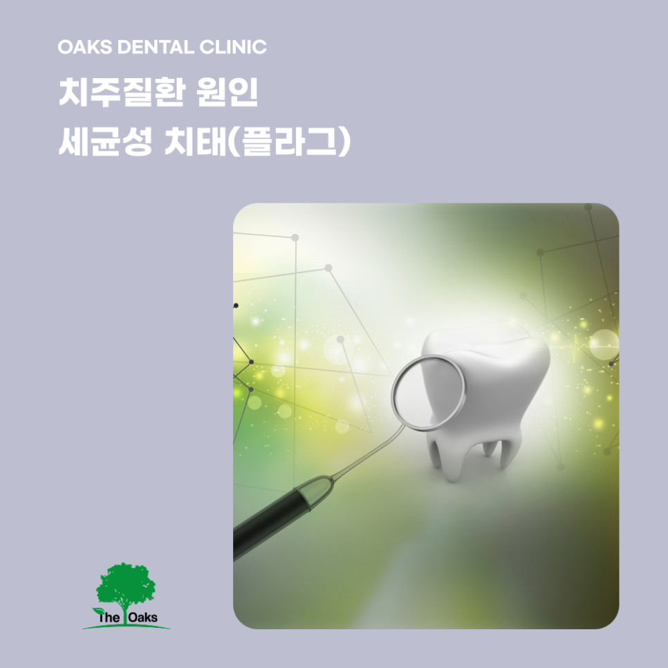 논현동치과 치주질환 잇몸에서 시작되는 위험 신호를 놓치지 마세요 관련 이미지 2