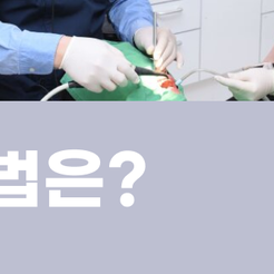 강남 원데이 심미치료 장점은 뭘까 관련 이미지 12