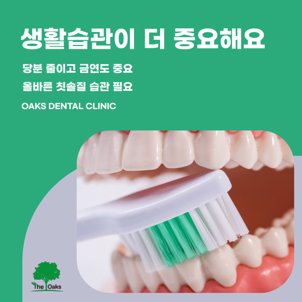 강남구치과 자연치아살리기 중요성에 대해 알아보아요 관련 이미지 4