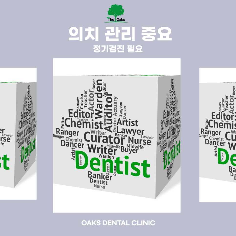 세곡동치과 의치 잃어버린 치아 기능을 다시 되찾는 방법 관련 이미지 5