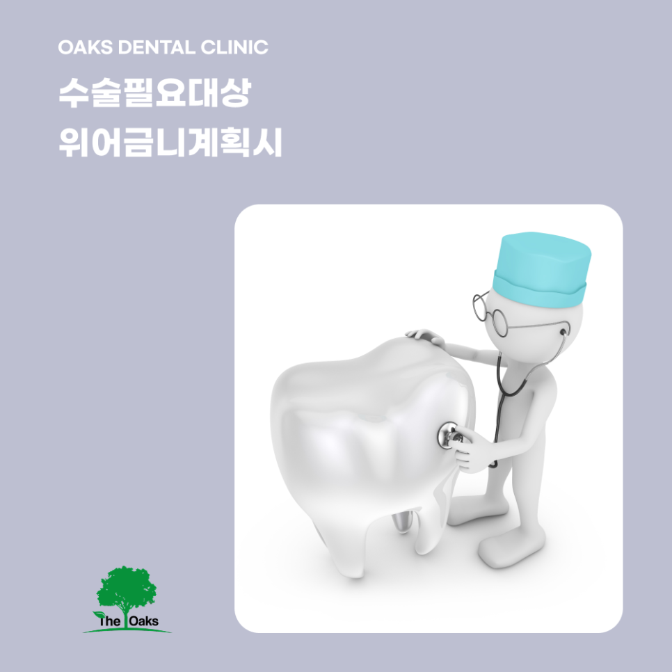 교대역치과 상악동거상술 위턱 뼈가 부족할 때 임플란트 성공률을 높이는 방법 관련 이미지 5