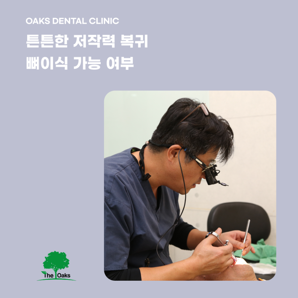 강남구치과 어금니임플란트 꼭 필요한 이유와 과정 관련 이미지 3