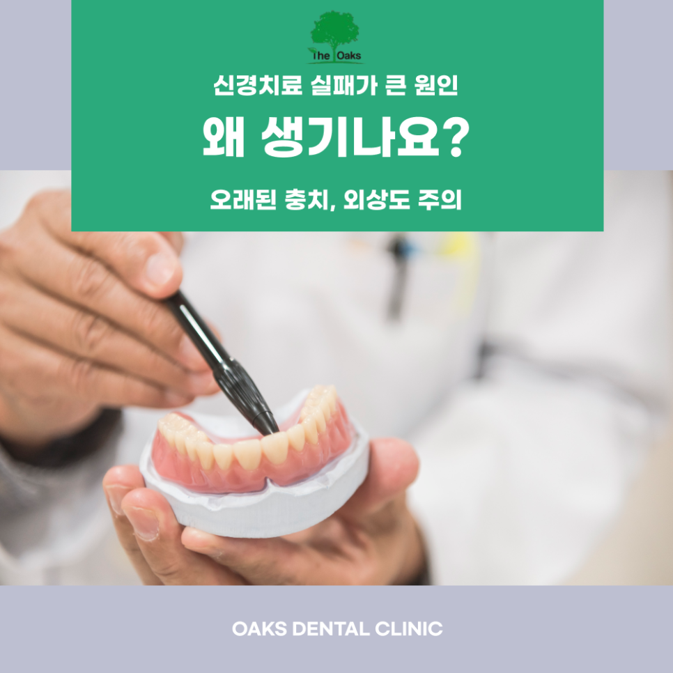 강남역치과 치아뿌리염증 꼭 치료해야 할까요 관련 이미지 2