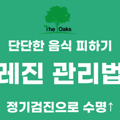 신사동치과 치아레진 자연스러움과 보존을 동시에 잡는 치료 관련 이미지 9