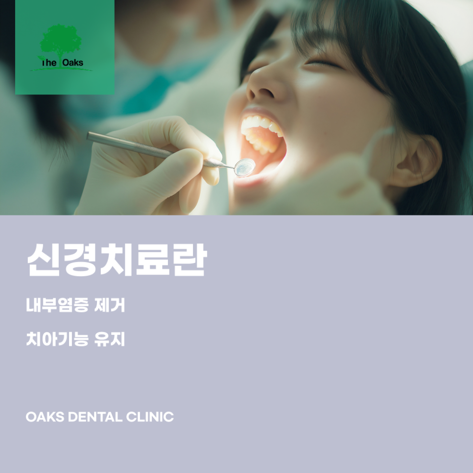 대치동치과 신경치료 치아를 살리기 위한 마지막 선택이 아닌 필수적인 치료 관련 이미지 1