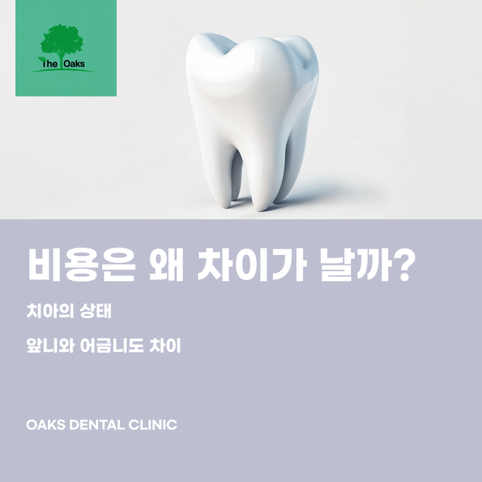 역삼동치과 치아신경치료비용 왜 차이가 있을까요? 관련 이미지 2