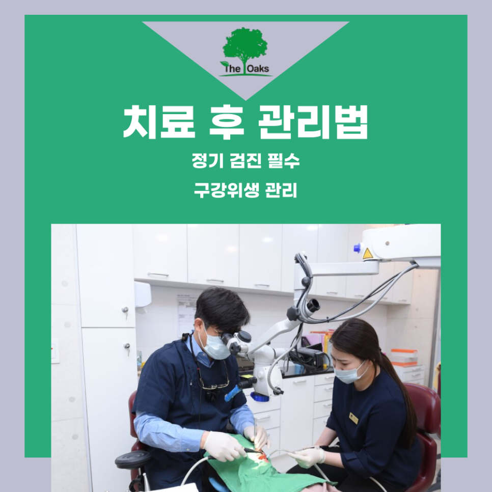 자곡동치과 앞니크라운 치료가 필요할 때는 언제일까 관련 이미지 4