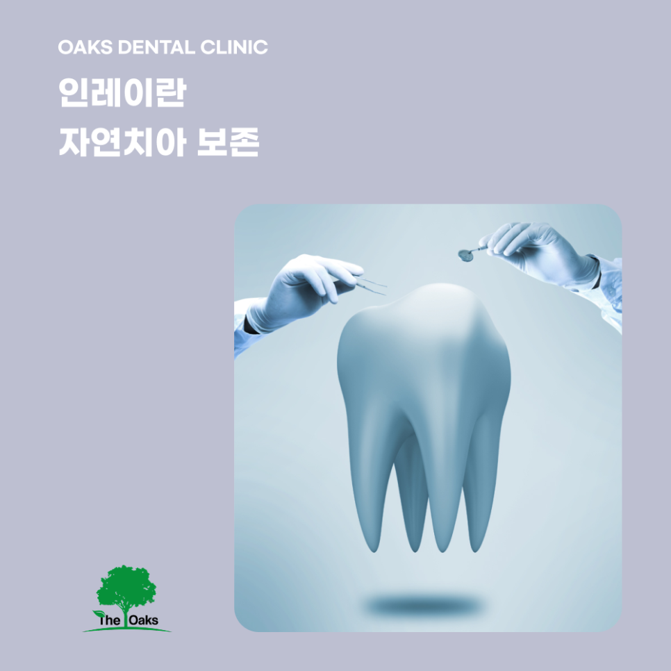 대치동치과 인레이 자연치아를 최대한 보존하는 충치 치료 관련 이미지 1