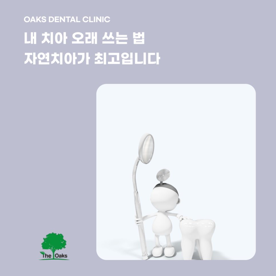 세곡동치과 치아보존치료란 자연치아를 살리는 선택 관련 이미지 5