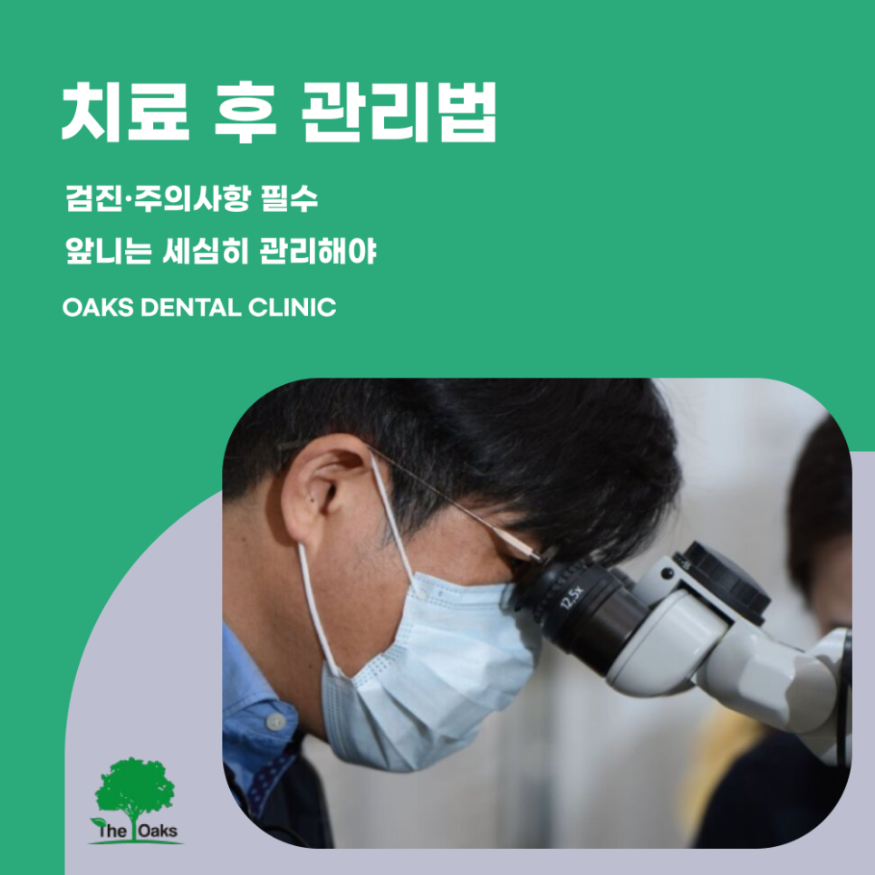 세곡동치과 앞니신경치료 꼭 필요한 이유와 치료 과정 안내 관련 이미지 5