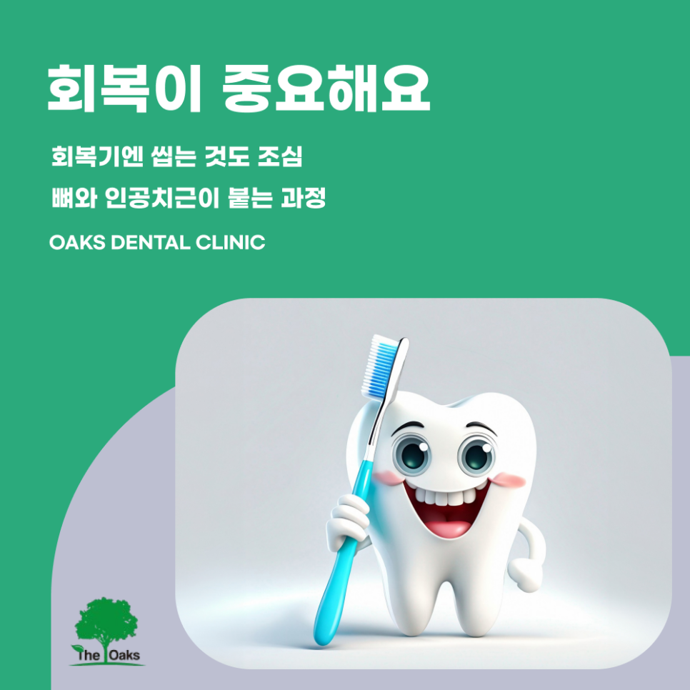 신사동치과 임플란트식립 어떤 과정을 거치나요 관련 이미지 4