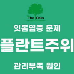 신사동치과 임플란트부작용 미리 알수록 예방할 수 있습니다 관련 이미지 9