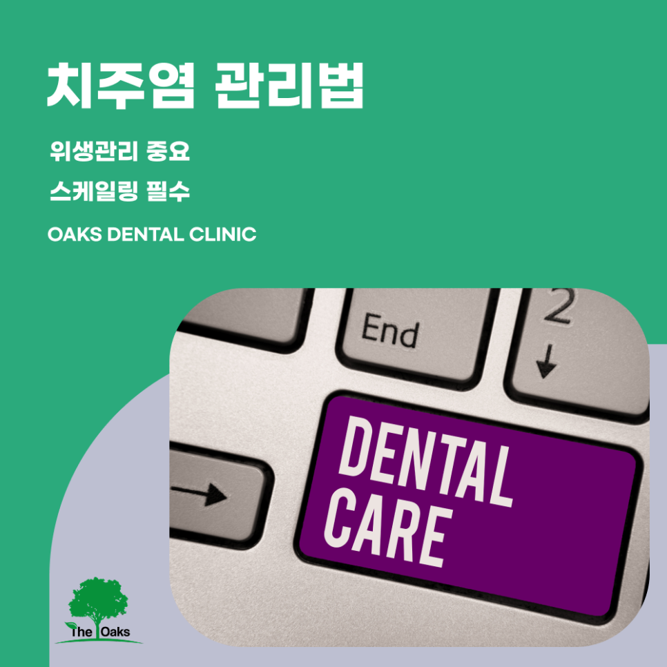 Samseong-dong Dental Clinic: Problems Caused by Ignoring Periodontitis and How to Manage It image 5