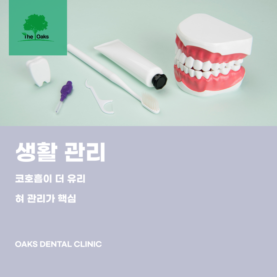 논현동치과 입냄새제거는 원인부터 정확히 잡아야 합니다 관련 이미지 3