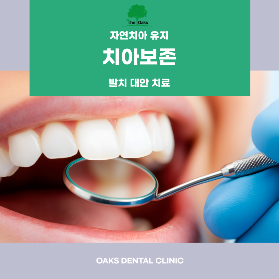 교대역치과 치근단절제술 신경치료로 해결되지 않을 때 선택하는 치료 방법 관련 이미지 5