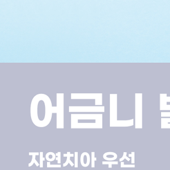 압구정동치과 어금니발치 치아를 살릴 수 없을 때 고려하는 치료입니다 관련 이미지 11