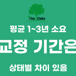 강남역치과 치아교정 가지런한 치아를 넘어 건강한 미소를 위한 선택 관련 이미지 9