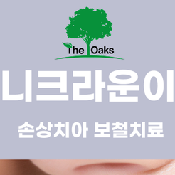 강남역치과 앞니크라운 자연스러운 미소를 위한 심미 보철 치료 관련 이미지 9