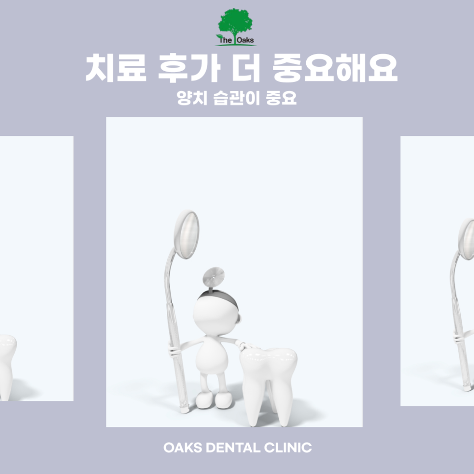 논현동치과 충치치료 아플 때가 아니라 생기기 전에 시작하세요 관련 이미지 5