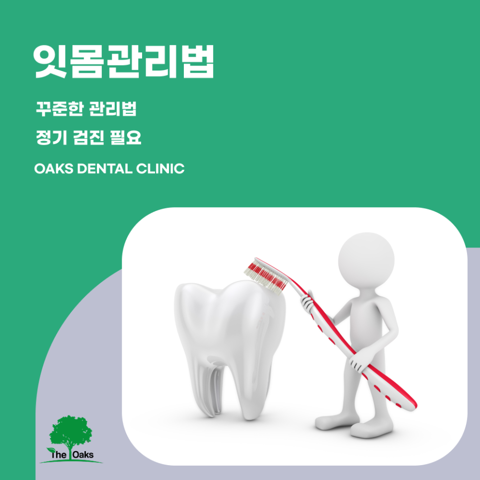 압구정동치과 잇몸염증치료 미루면 안 되는 이유와 건강한 잇몸 관리 방법 관련 이미지 5