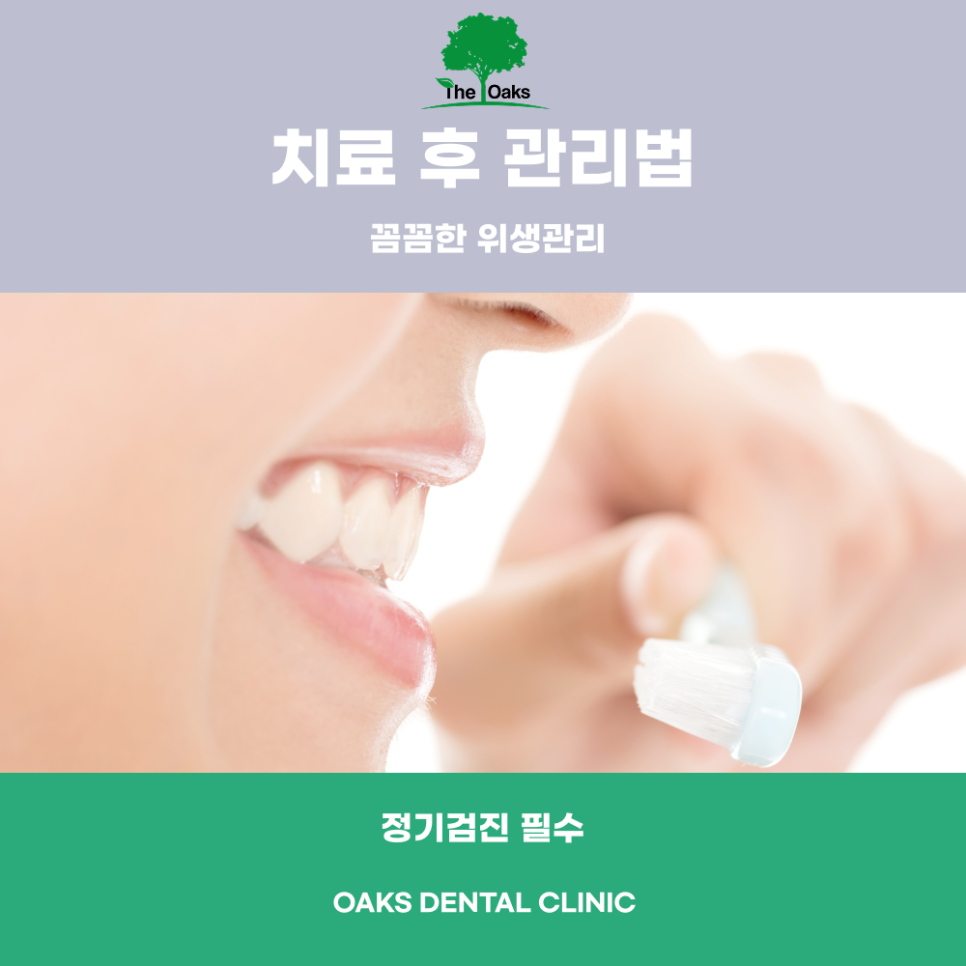 강남역치과 앞니크라운 자연스러운 미소를 위한 심미 보철 치료 관련 이미지 5