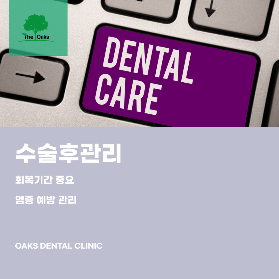 세곡동치과 뼈이식임플란트 부족한 잇몸뼈를 보완해 성공률을 높이는 방법 관련 이미지 5