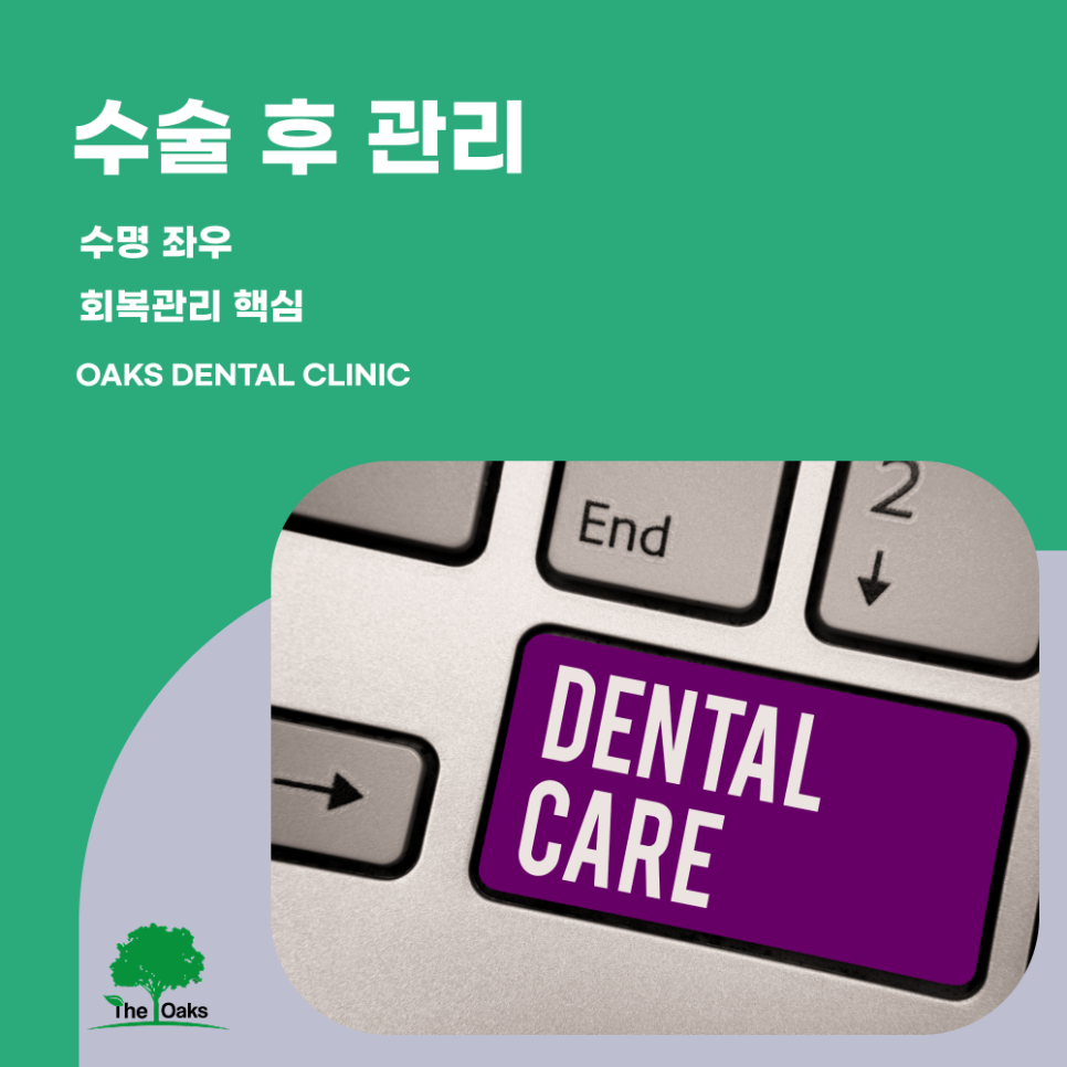 삼성동치과 임플란트수술 과정과 회복까지 제대로 이해해야 하는 이유 관련 이미지 5