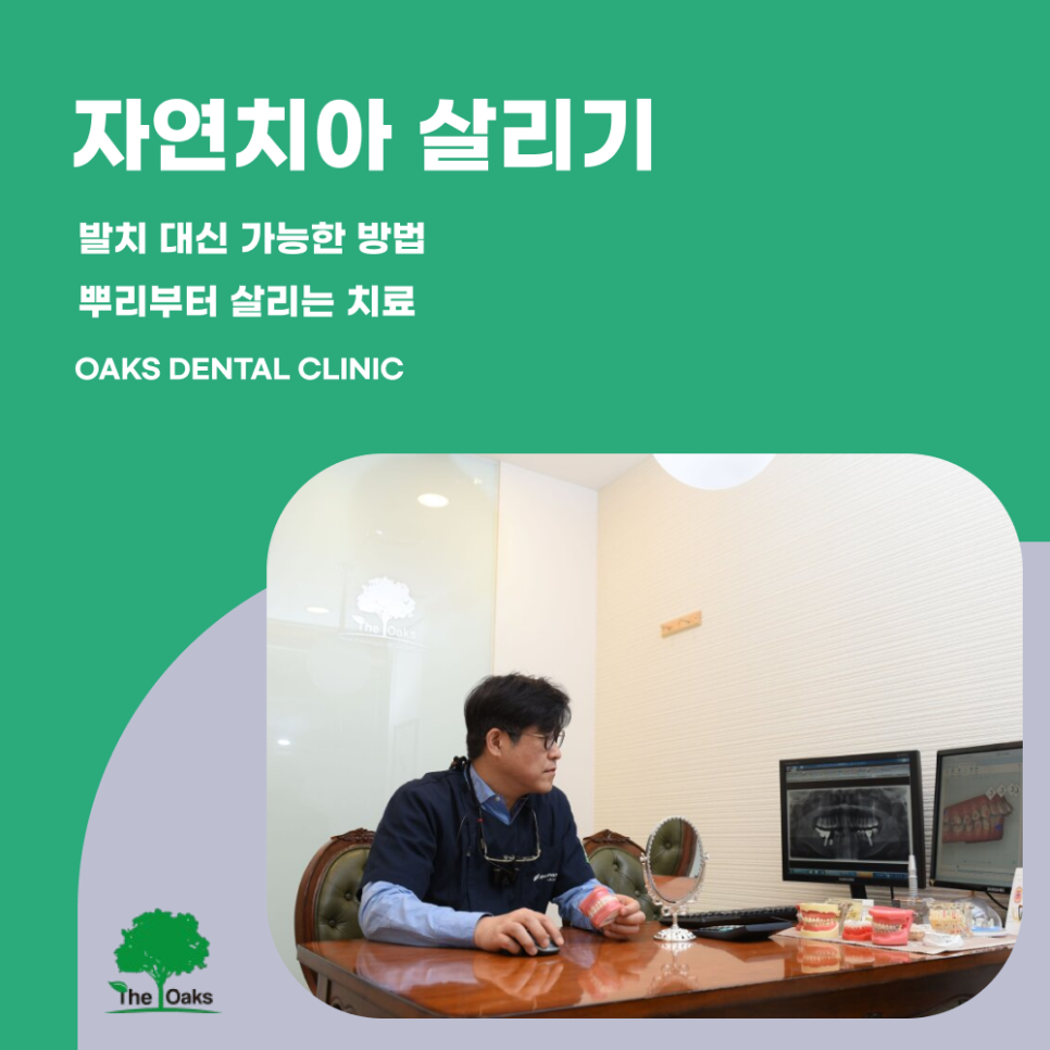 세곡동치과 치아보존치료란 자연치아를 살리는 선택 관련 이미지 1