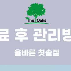 강남 원데이 심미치료 짧은 시간 안에 완성하는 심미 개선 관련 이미지 9