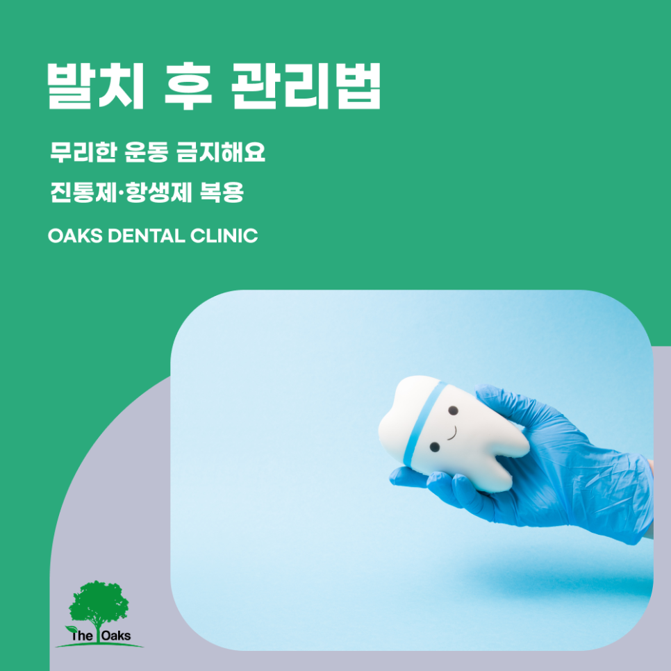 청담동치과 매복사랑니발치 후 회복 꿀팁 관련 이미지 5