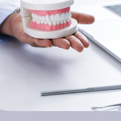 자곡동치과 치통 원인부터 해결까지 통증을 가볍게 넘기면 안 되는 이유 관련 이미지 15