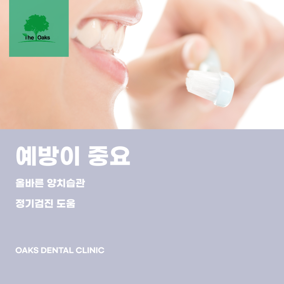Gangnam-gu Dental Clinic: Why Even Small Cavities Should Not Be Left Untreated image 5