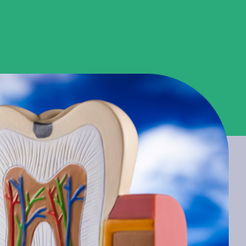 Samseong-dong Dental Clinic: Problems Caused by Ignoring Periodontitis and How to Manage It image 13