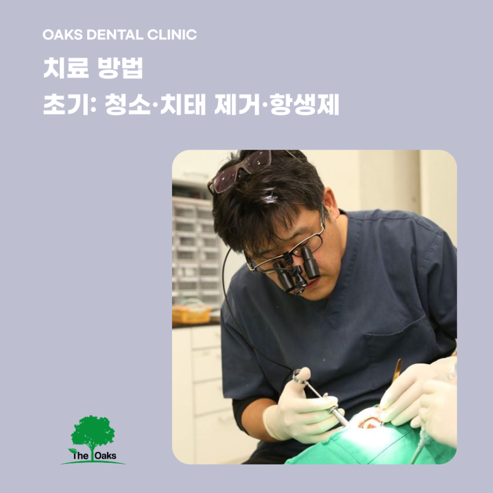 역삼동치과 임플란트주위염 방치하면 위험한 잇몸 염증 관련 이미지 4