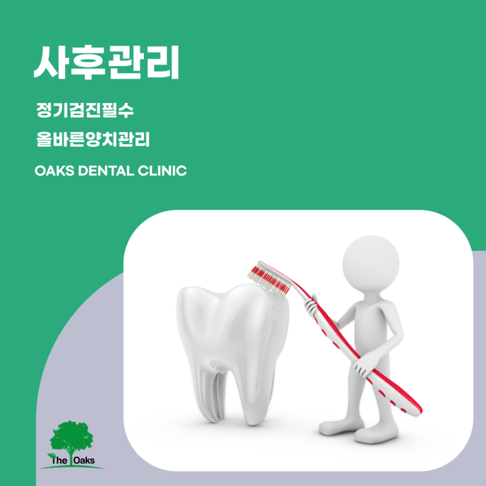 삼성동치과 건강보험임플란트 부담을 줄이며 치아 기능을 회복하는 방법 관련 이미지 5