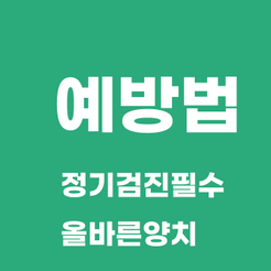 강남역치과 잇몸염증 가볍게 넘기면 안 되는 초기 신호 관련 이미지 8