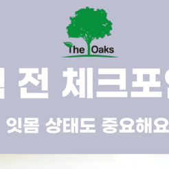 압구정동치과 의치 종류 및 장단점 관련 이미지 9