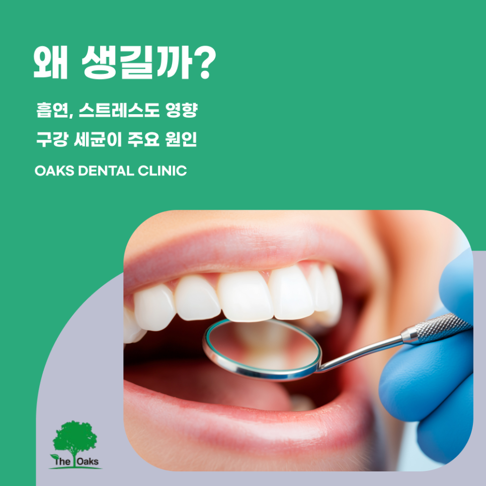 교대역치과 잇몸질환 방치하지 마세요 관련 이미지 2