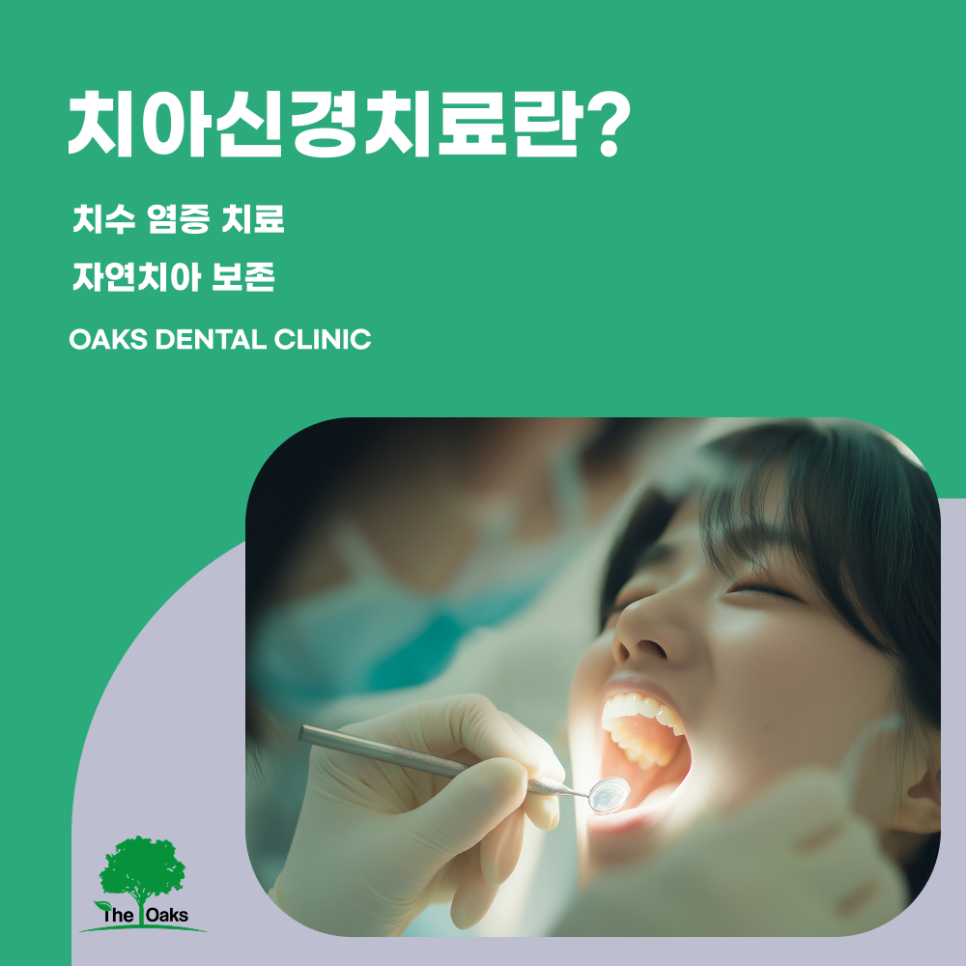 역삼동치과 치아신경치료비용 왜 차이가 있을까요? 관련 이미지 1