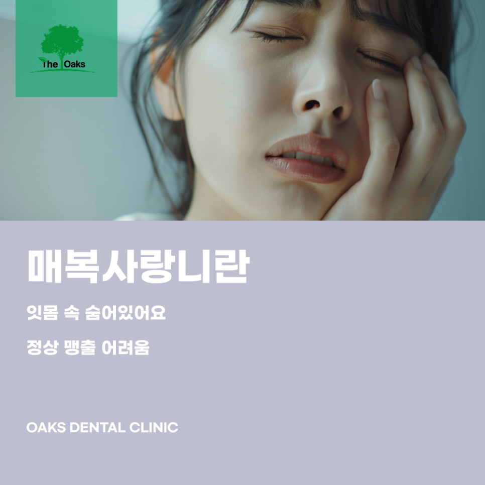 개포동치과 매복사랑니발치 통증이 없더라도 확인이 필요한 이유 관련 이미지 1