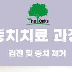 강남역 원데이 충치치료 한 번에 끝 관련 이미지 9