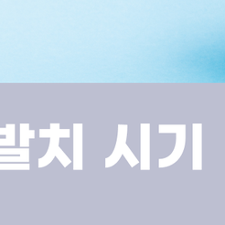 압구정동치과 어금니발치 치아를 살릴 수 없을 때 고려하는 치료입니다 관련 이미지 12