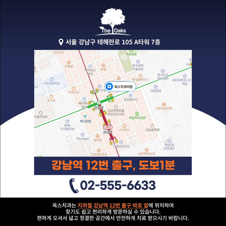 신논현치과 치아 건강을 위하여 관련 이미지 17