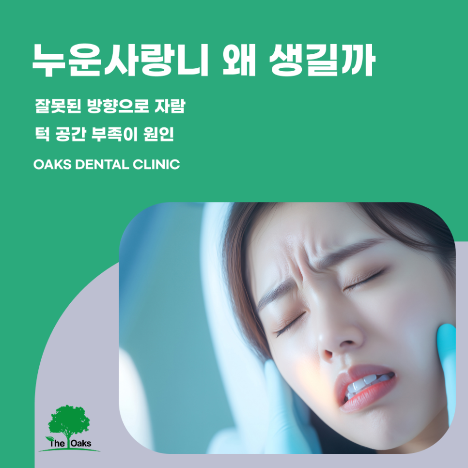 압구정동치과 누운사랑니 똑바로 알아야 안전하게 관리할 수 있습니다 관련 이미지 1