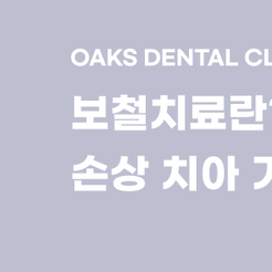 대치동치과 보철치료로 치아 기능과 아름다움을 되찾는 방법 관련 이미지 8